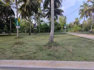 අනුරාධපුර සාලියමාවතෙන් සින්නක්කර බිම්කොටස් විකිණීමට