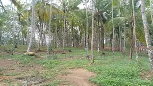 අහංගම අගනා ඉඩම්