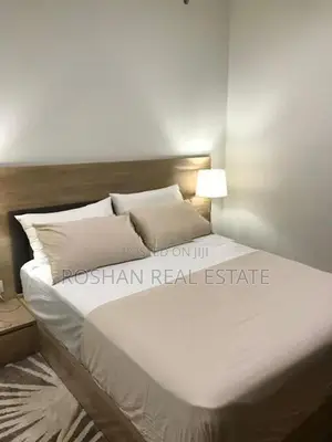 LUXURY FULLY FURNISHED CCC APARTMENT FOR RENT COLOMBO 2 CHI2643