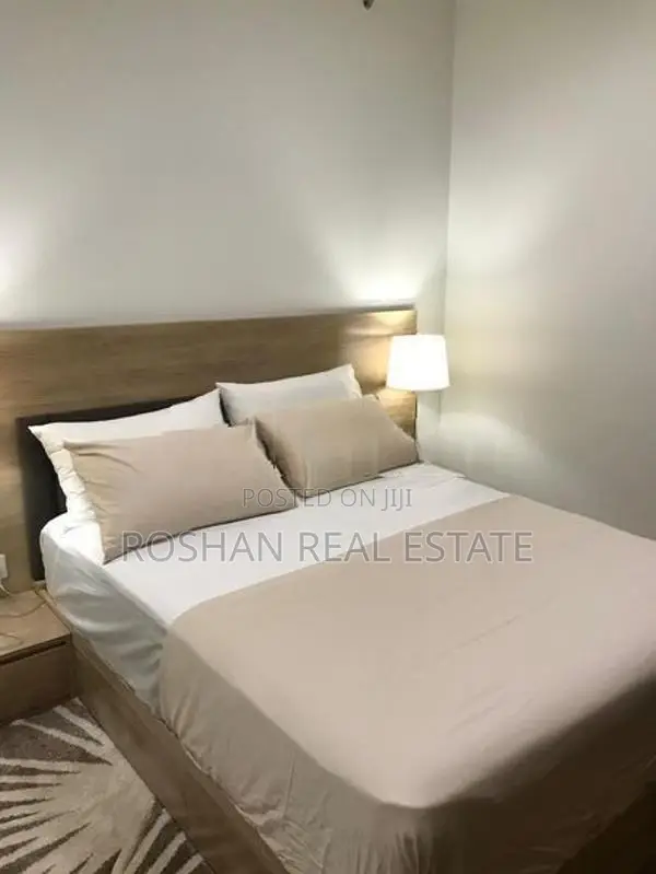 LUXURY FULLY FURNISHED CCC APARTMENT FOR RENT COLOMBO 2 CHI2643