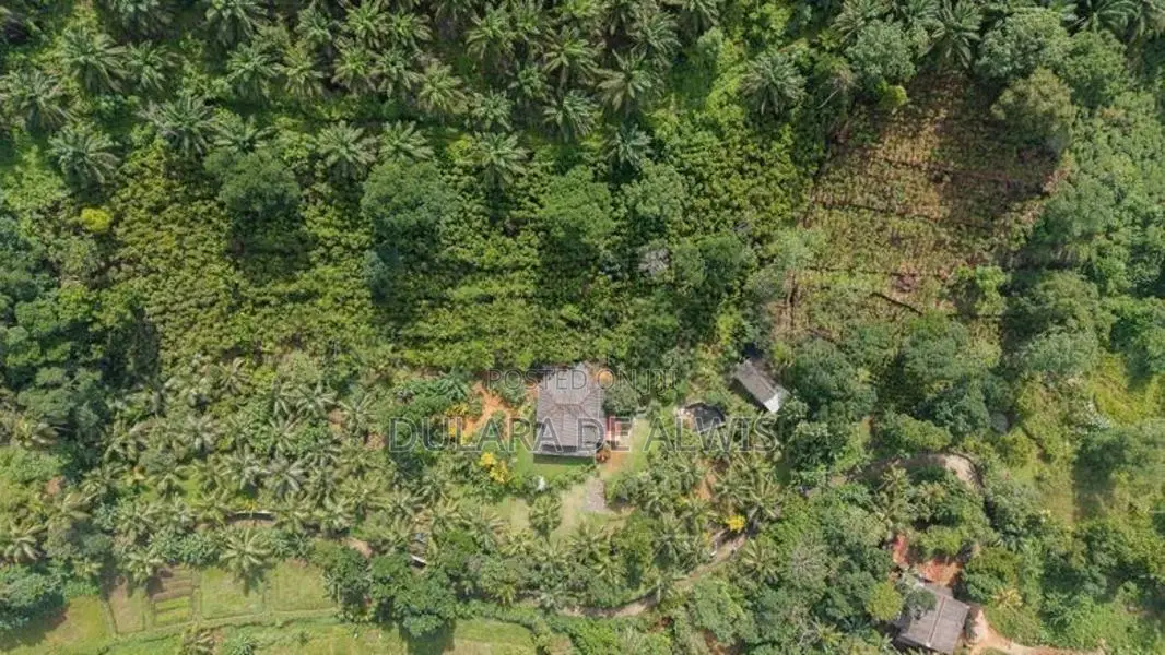 Land with Holiday Villa and 2 Acres Cinnamon in Poddala, Galle