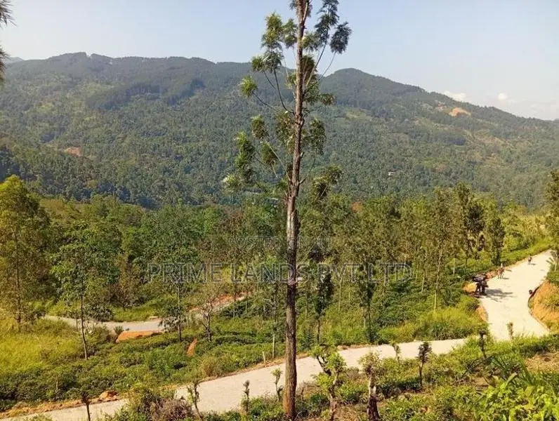 Land Sale In Nilamba