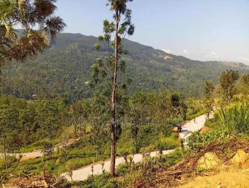 Land Sale In Nilamba