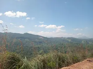 Land Sale In Nilamba