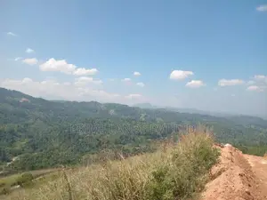 Beautiful Land Sale in Nilamba