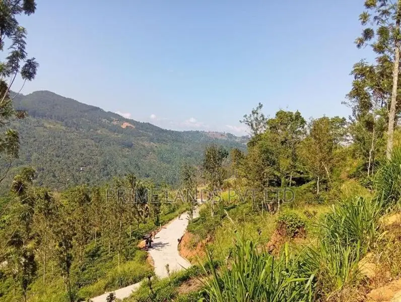 Land Sale In Nilamba