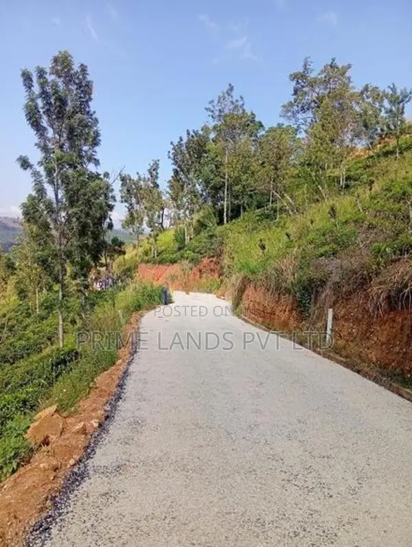 Land Sale In Nilamba