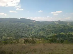 Land Sale In Nilamba