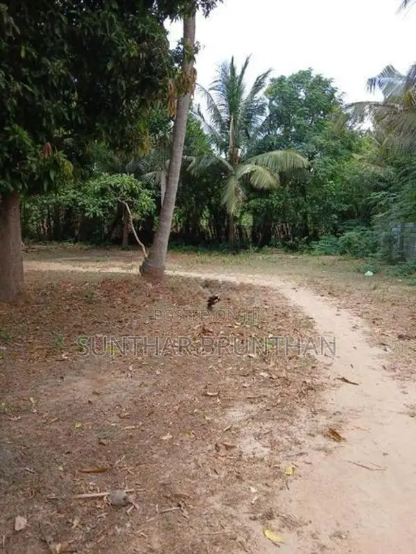 Land for Sale - Jaffna