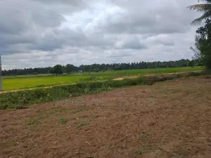 Land for Sale in Anuradhapura Nachchaduwa