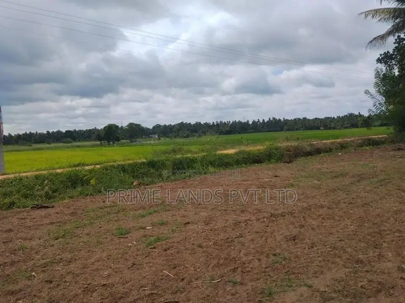 Land for Sale in Anuradhapura Nachchaduwa