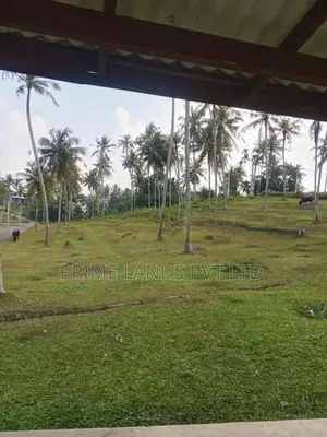 Land for Sale Near Labeema Road