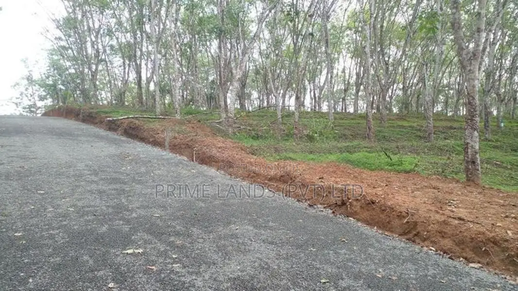 Land for Sale Ahangama