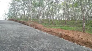 Land for Sale Ahangama