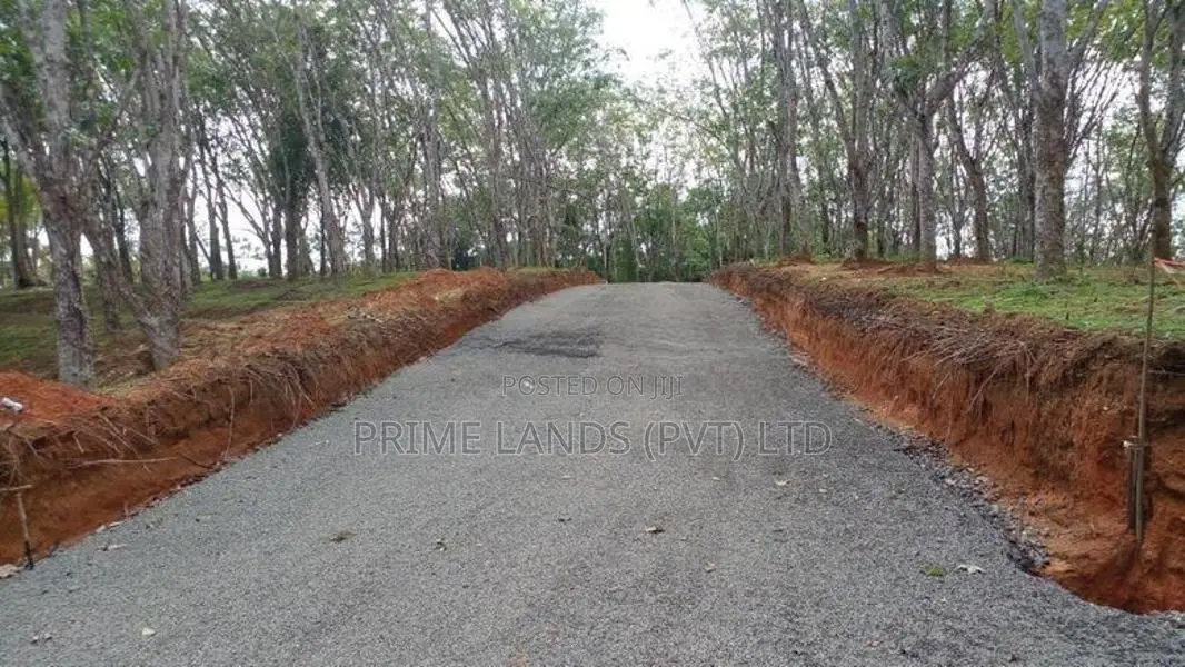 Land for Sale Ahangama Panchaliya