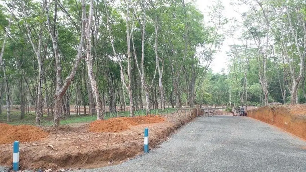 Land for Sale Ahangama Panchaliya