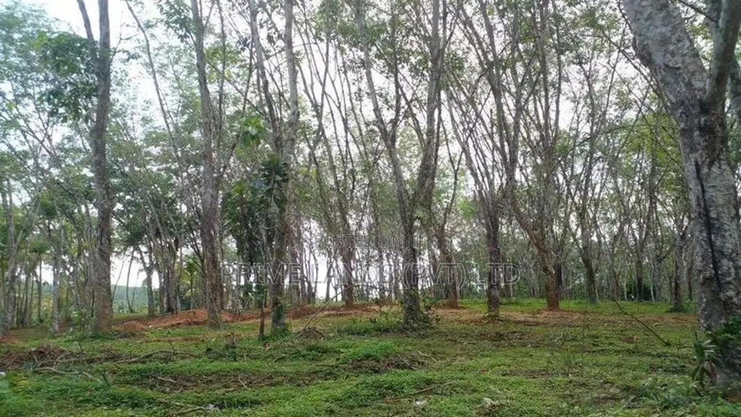 Land for Sale Ahangama Panchaliya