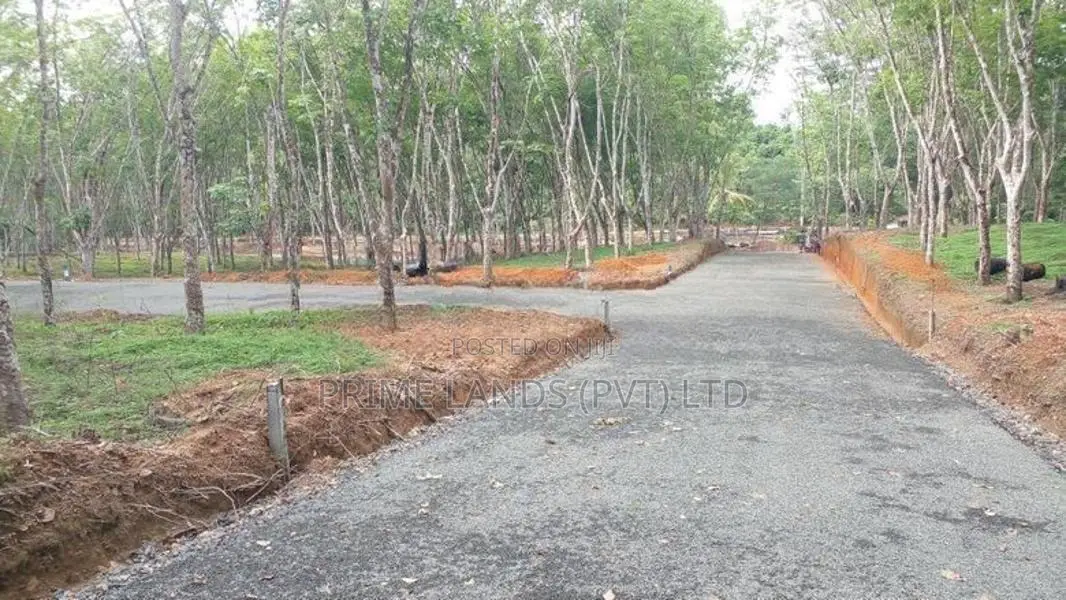 Land for Sale Ahangama Panchaliya