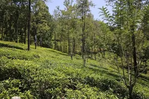 Land for Sale Ramboda