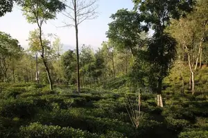 Land for Sale Ramboda