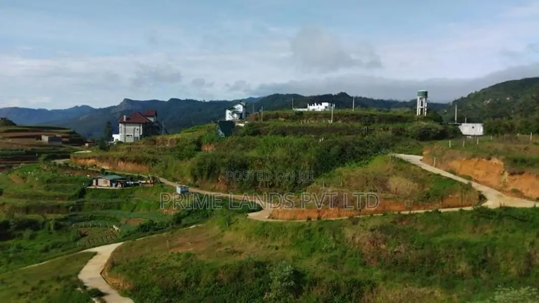 Ambewela Land for Sale