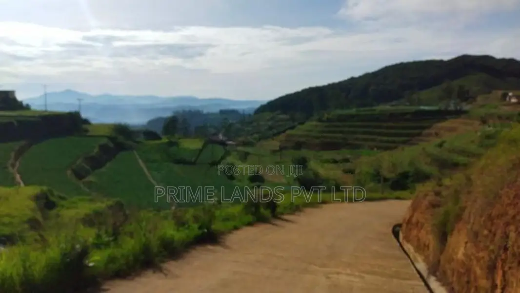 Ambewela Land for Sale