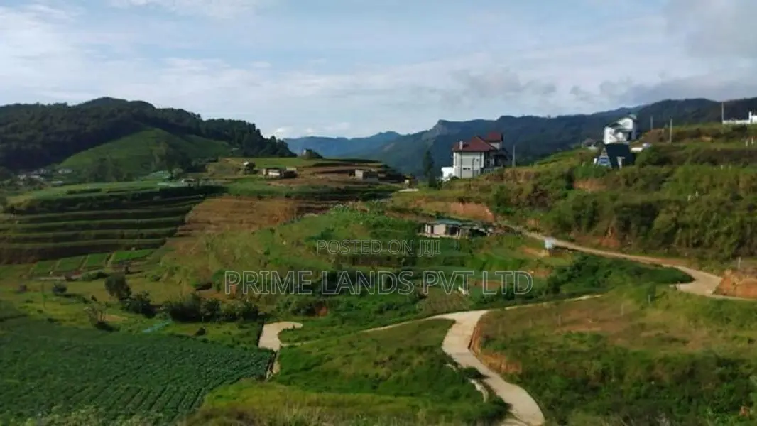 Ambewela Land for Sale