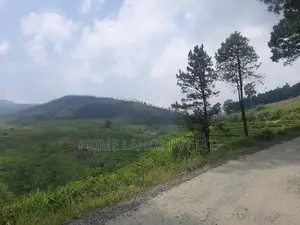 Land for Sale Pussellawa