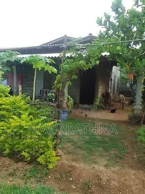 Ethiliwewa 10 Perch Land for Sale