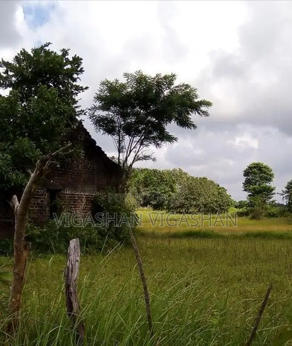 விவசாய நிலம் விற்பனை Batticaloa