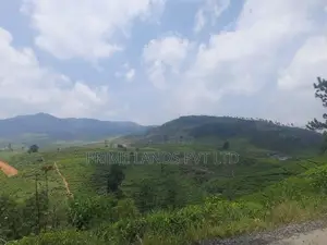 Land for Sale Pussellawa