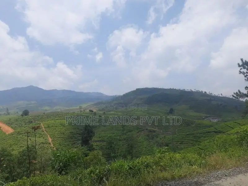 Land for Sale Pussellawa