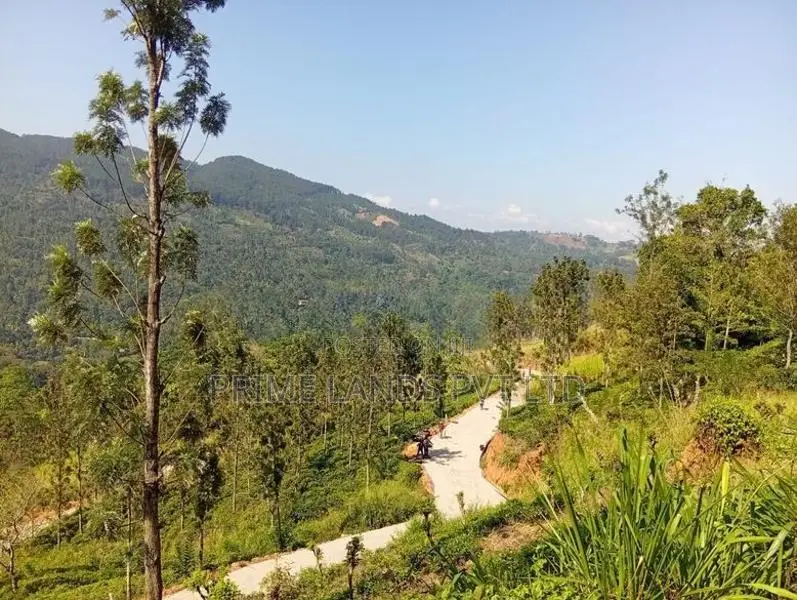 Land for Sale Nillamba