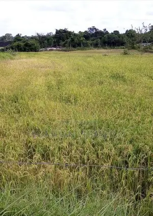 விவசாய நிலம் விற்பனை Batticaloa