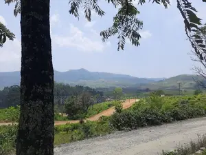 Land for Sale Pussellawa
