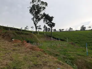 Land for Sale Nuwaraeliya