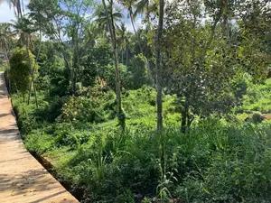 Land for Sale Gelioya