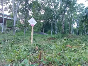 Land for Sale Nelundeniya