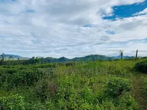 Land for Sale Hatton