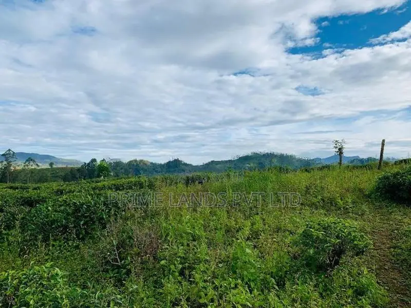 Land for Sale Hatton
