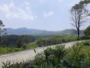Land for Sale Pussellawa