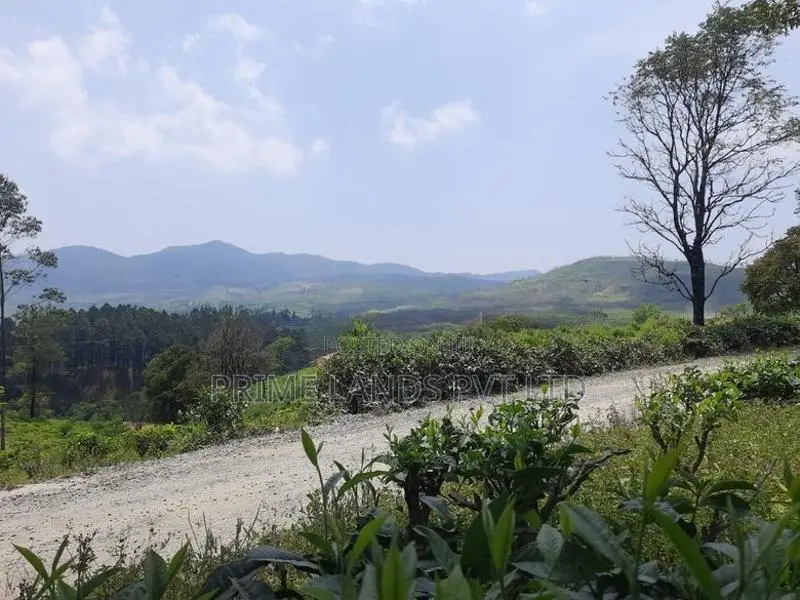 Land for Sale Pussellawa