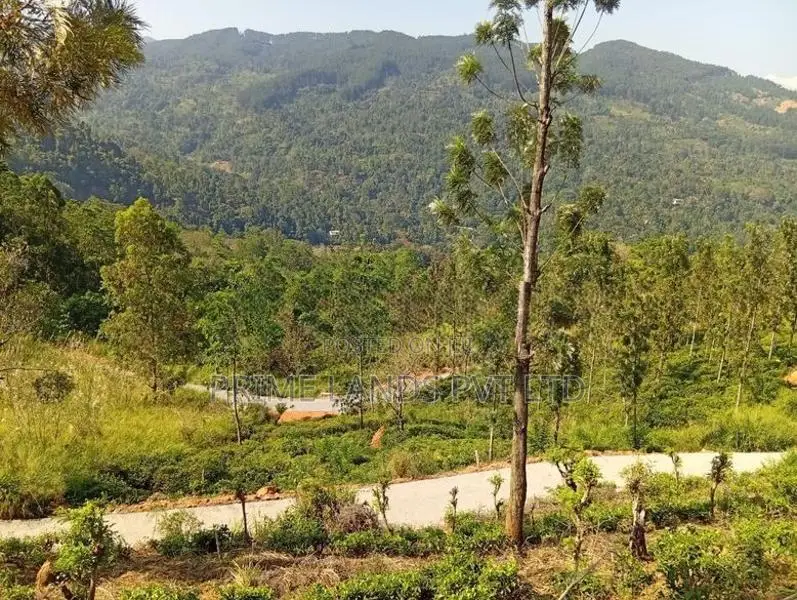 Land for Sale Nillamba