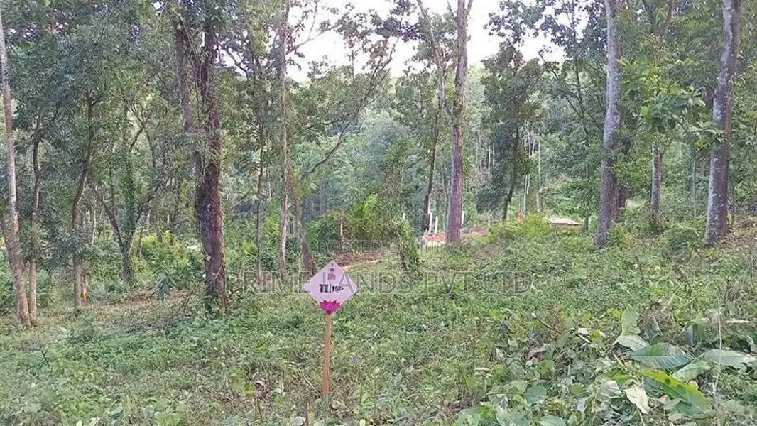 Land for Sale Nelundeniya