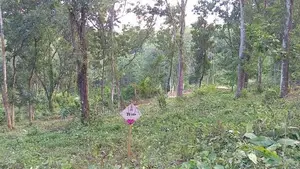 Land for Sale Nelundeniya