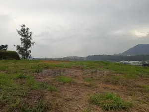Land for Sale Nuwaraeliya