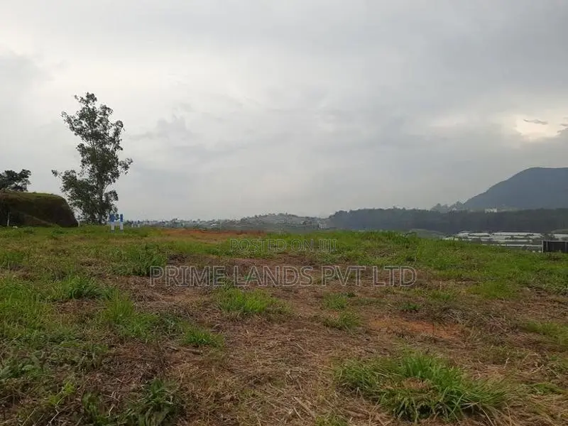Land for Sale Nuwaraeliya