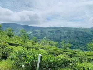 Land for Sale Pundaluoya