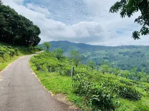Land for Sale Pundaluoya