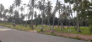 Land for Sale in Kurunegala City